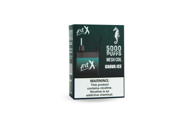 ART X 5000 Puffs - Guava Ice